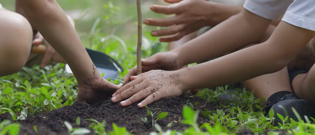 School children planting a tree using their hands.